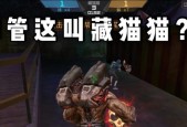 cf藏猫猫上车方法是什么？