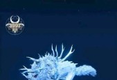 《妄想山海》新手宠物选择指南（如何选择适合你的宠物）