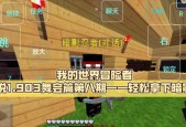 老王我的世界冒险世界如何玩？有哪些技巧？