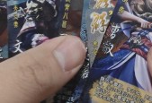 三国杀中小鸟的强度如何？小鸟角色的评价是什么？