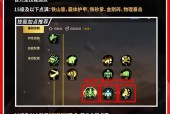 dnf狂虎帝的玩法技巧是什么？如何提升实力？