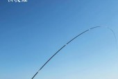 《妄想山海鱼竿品质的重要作用》（游戏中）