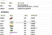 《三国战纪》游戏秘籍集锦，助你称霸三国（成为三国战场上的无敌战神）