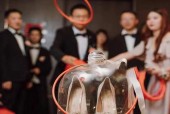 新版本新思路，玩转战狼敢死队（打破常规的游戏策略讲解）