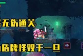 《重生细胞蜱虫之母坏种DLC》攻略与心得（突破游戏难关）