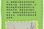 腊梅在游戏中的含义是什么？