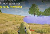 绝地求生搭档挑战的策略是什么？搭档之间如何有效配合？