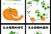 南瓜种子在我的世界怎么种植？种植条件和步骤是什么？