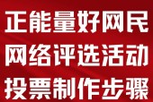 投票活动的正确投票方式是什么？