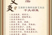 终焉誓约艾理队伍的强大搭配与技能解析（战斗中无坚不摧的终焉誓约艾理）