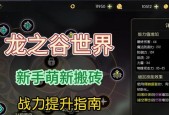 龙之谷直升99级的具体操作流程是什么？