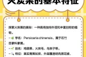 寻仙炭果的正确使用方法是什么？炭果有哪些用途？