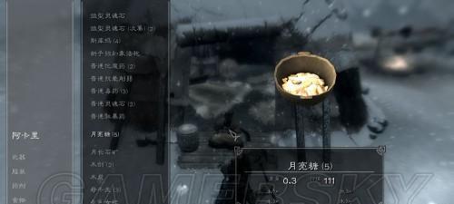 上古卷轴5（让你的背包永远不再空荡荡）  第1张