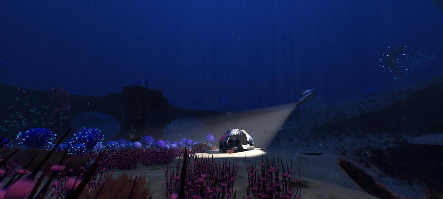 深海迷航（探秘吸盘鱼的神秘属性与生存之道）  第3张