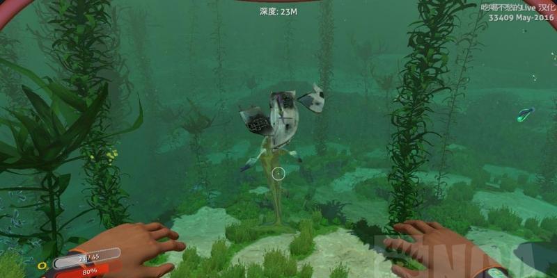 深海迷航（探索美丽水世界）  第3张
