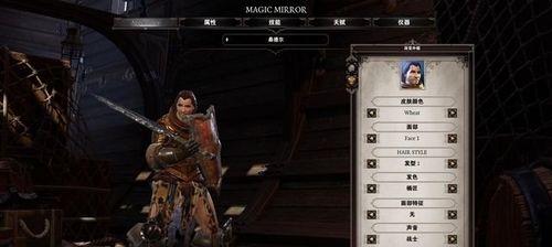 探秘神界原罪2巫师职业技能（解析巫师玩法）  第3张
