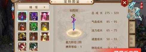 问道手游木系宠物搭配攻略（木系宠物搭配解析）  第1张