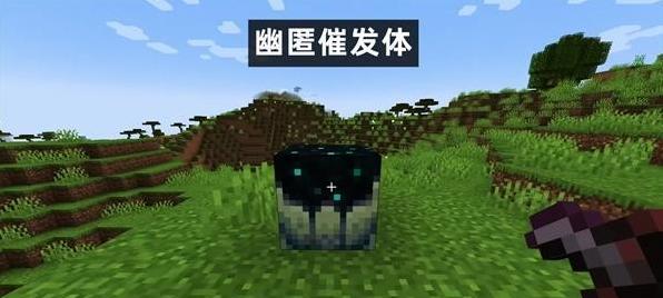 我的世界1.10版本更新方块全解析（新方块、新玩法、全在这里）  第2张