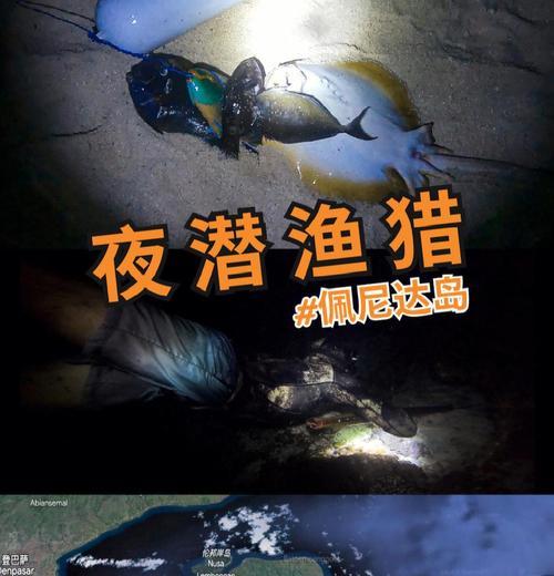 哪些手游可以体验潜水渔猎？  第2张