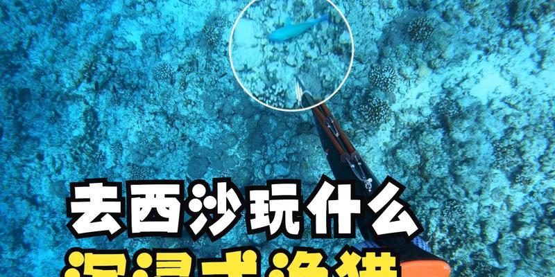 哪些手游可以体验潜水渔猎？  第3张