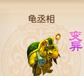 梦幻西游中龟丞相认证的费用是多少？认证流程是怎样的？  第3张