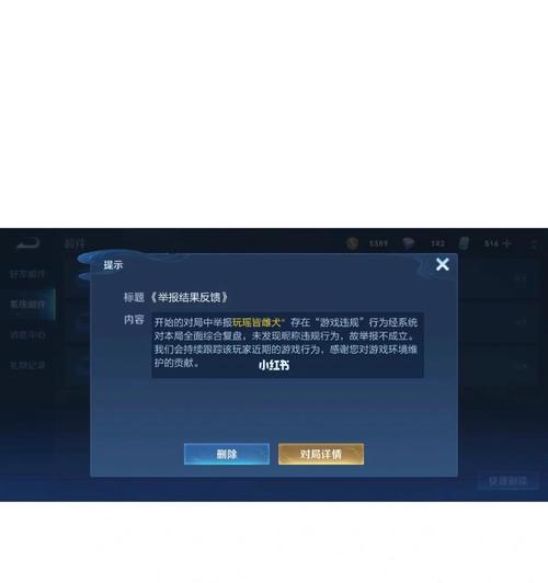 王者荣耀中如何正确举报官方？举报流程是怎样的？  第1张