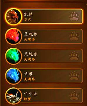 魔兽世界猎人如何使两只宠物看起来一样？需要哪些条件？  第3张