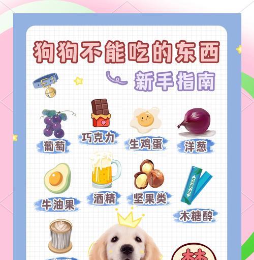 地下城中哪些宠物可以食用？宠物食用的规则是什么？  第3张