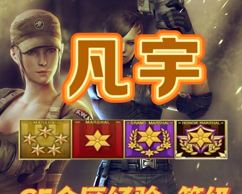 cf勋章查看等级的方法和位置在哪里？  第2张