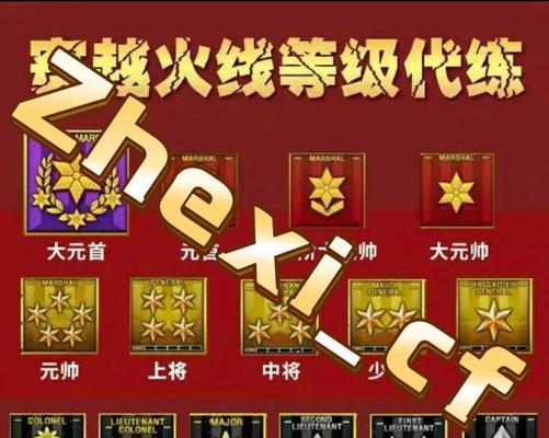 cf勋章查看等级的方法和位置在哪里？  第3张