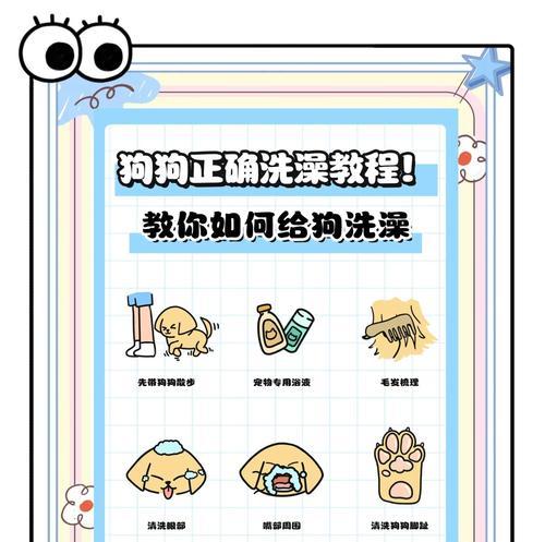 宠物洗点的正确方法是什么？  第1张