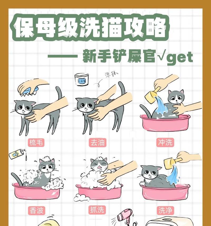 宠物洗点的正确方法是什么？  第2张