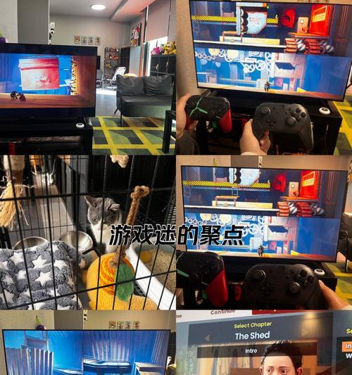 彩虹岛如何设置手柄双人模式？  第1张
