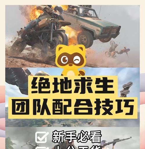 绝地求生王欣组队技巧是什么？  第1张