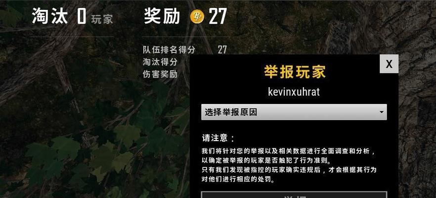 队友违规时如何在绝地求生中进行举报？  第1张