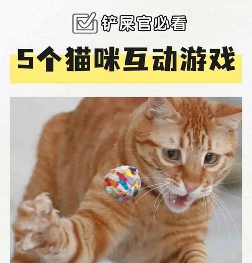 绝地求生爱猫猫模式玩法介绍？如何在爱猫猫模式中获得胜利？  第2张