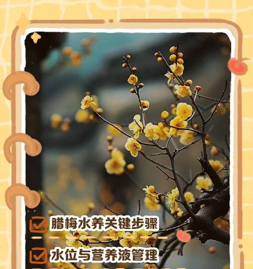 腊梅在游戏中的含义是什么？  第2张