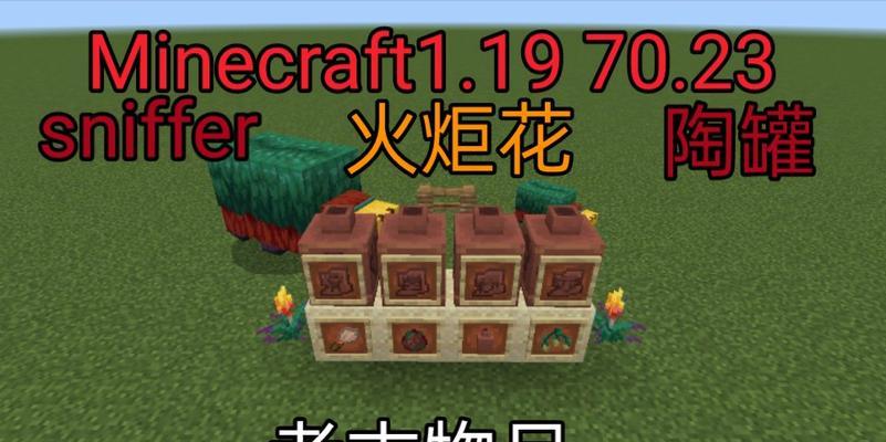我的世界中陶罐在哪里可以找到？  第2张