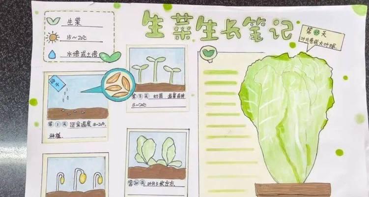 我的世界中如何种植蔬菜？种植蔬菜的步骤是什么？  第2张