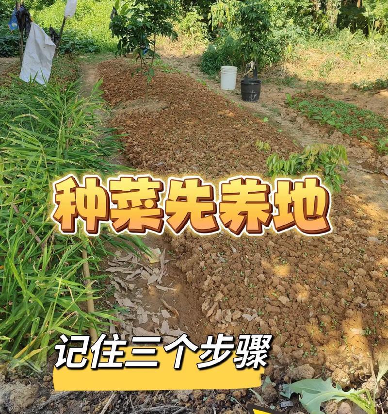 我的世界中如何种植蔬菜？种植蔬菜的步骤是什么？  第3张