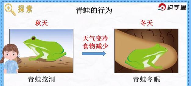 《旅行青蛙的三叶草和四叶草之旅》（探索幸运的秘密）  第3张