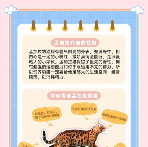 豹猫在《我的世界》中的习性与驯服方法（探索虚拟世界中的神秘生物）  第3张