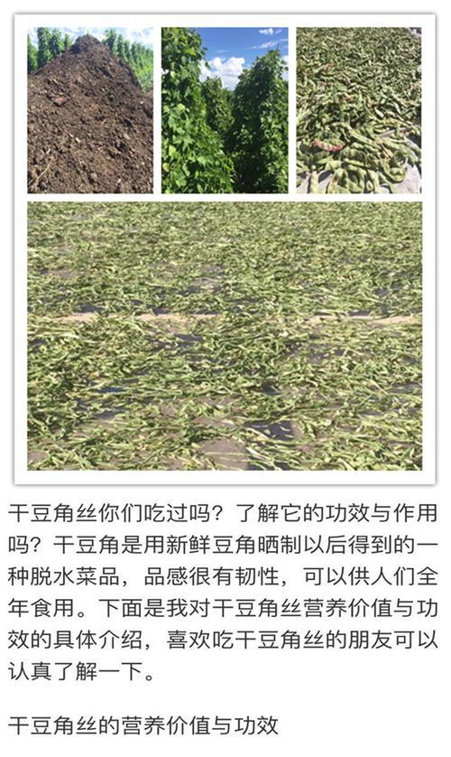 《乐高无限》中的农作物种植攻略（打造繁荣的农业帝国）  第2张