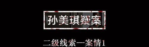 揭秘孙美琪疑案郎威真相——解锁谜题（追寻真相）  第3张