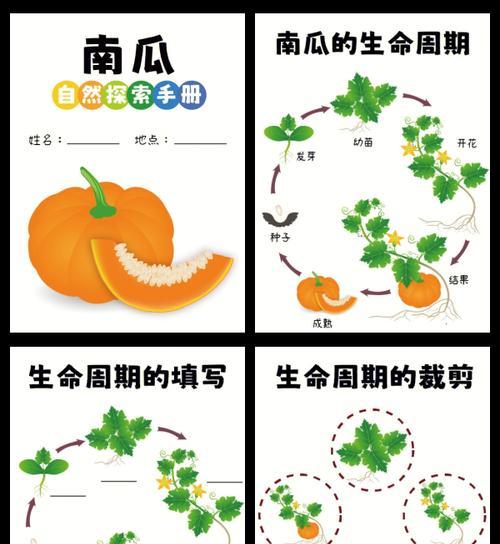 南瓜种子在我的世界怎么种植？种植条件和步骤是什么？  第1张