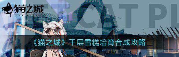 《猫之城猫球养成攻略》（打造属于你的猫球天堂）  第2张