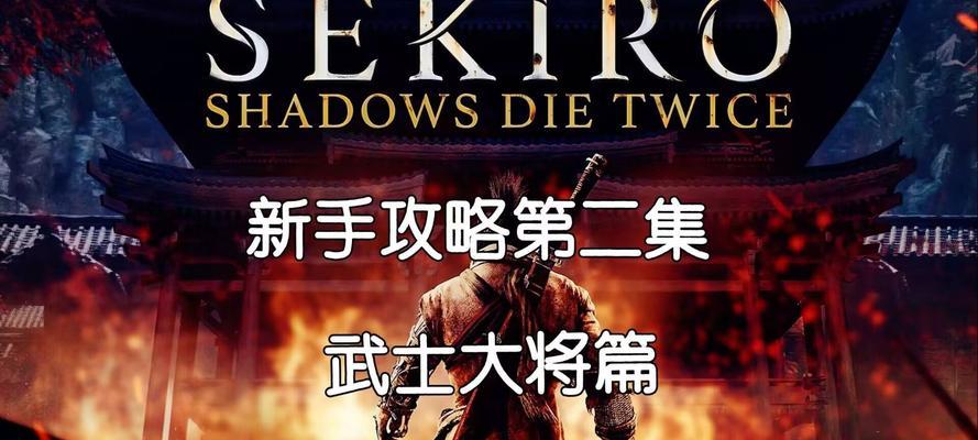 只狼（学习武士大将的攻击模式）  第3张