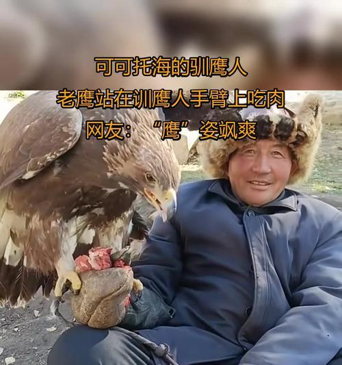 鹰驯服的具体步骤是什么？  第3张