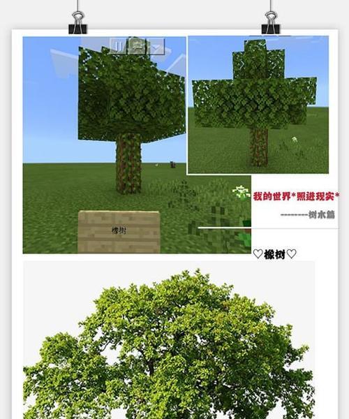 我的世界中世界树树枝的获取途径有哪些？  第3张