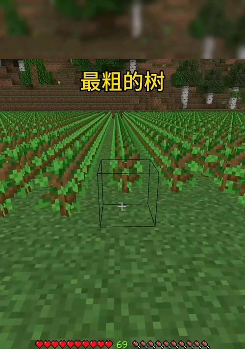 我的世界中世界树树枝的获取途径有哪些？  第2张